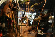 Museum of Wellington